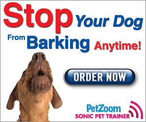 Try Pet Zoom Sonic Pet Trainer with a FREE Bonus!